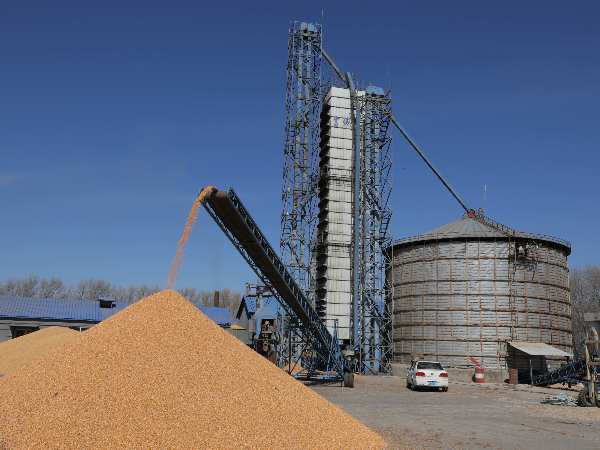 燒煤改燒秸稈大包直燃熱風(fēng)爐，烘干成本省一半