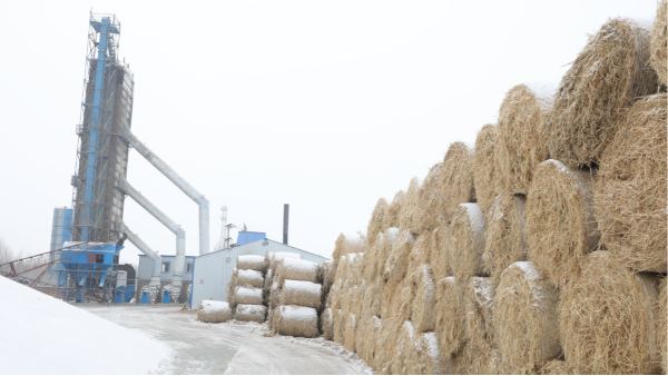 煤炭價格高，烘糧利潤低，吉林大安市500噸糧食烘干塔改用秸稈大包直燃鍋爐，每天省3萬